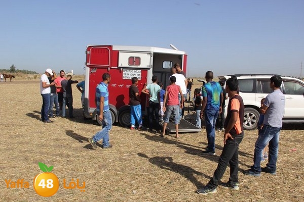 horse race 0602 (60).JPG